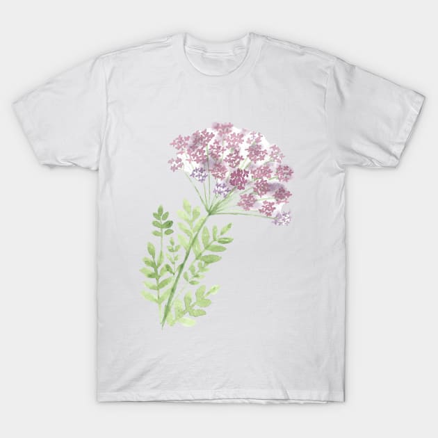 Angelica flower, watercolor painting T-Shirt by Sharon Rose Art